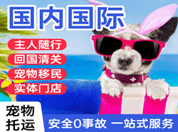 徐州空运国际宠物托运 【国